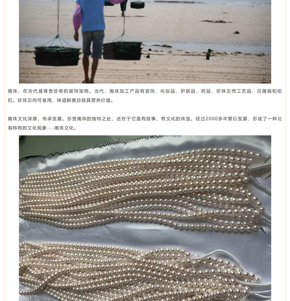 古老南珠，綻放異彩
