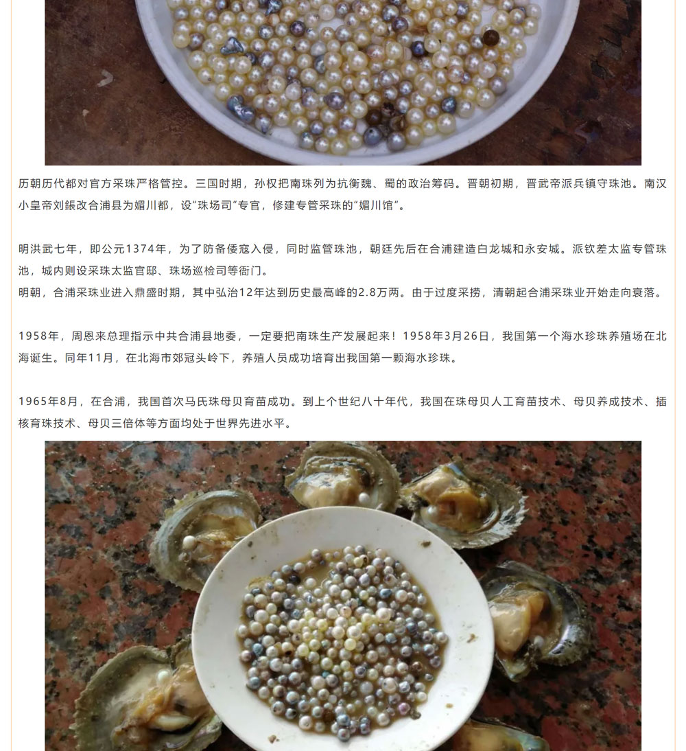 古老南珠，綻放異彩