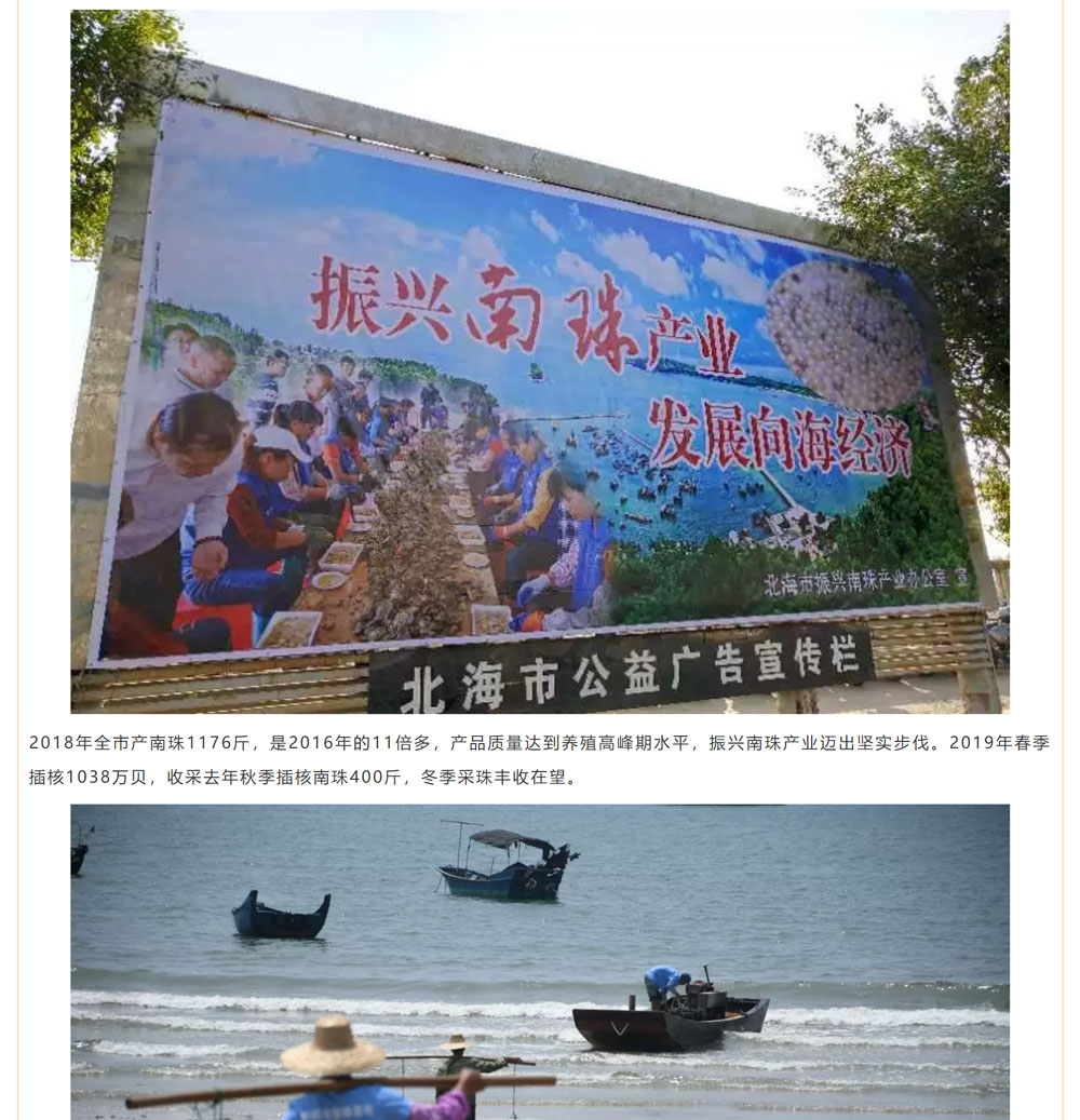 古老南珠，綻放異彩